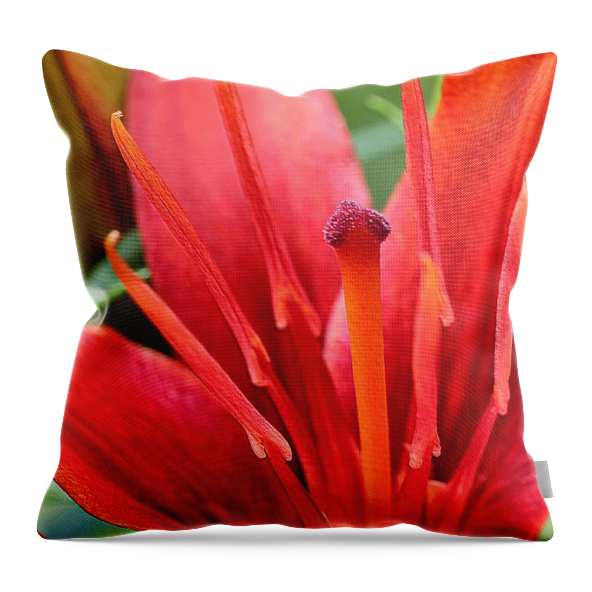 Mccombie Throw Pillow featuring the photograph Asiatic Lily named Red Twin by J McCombie