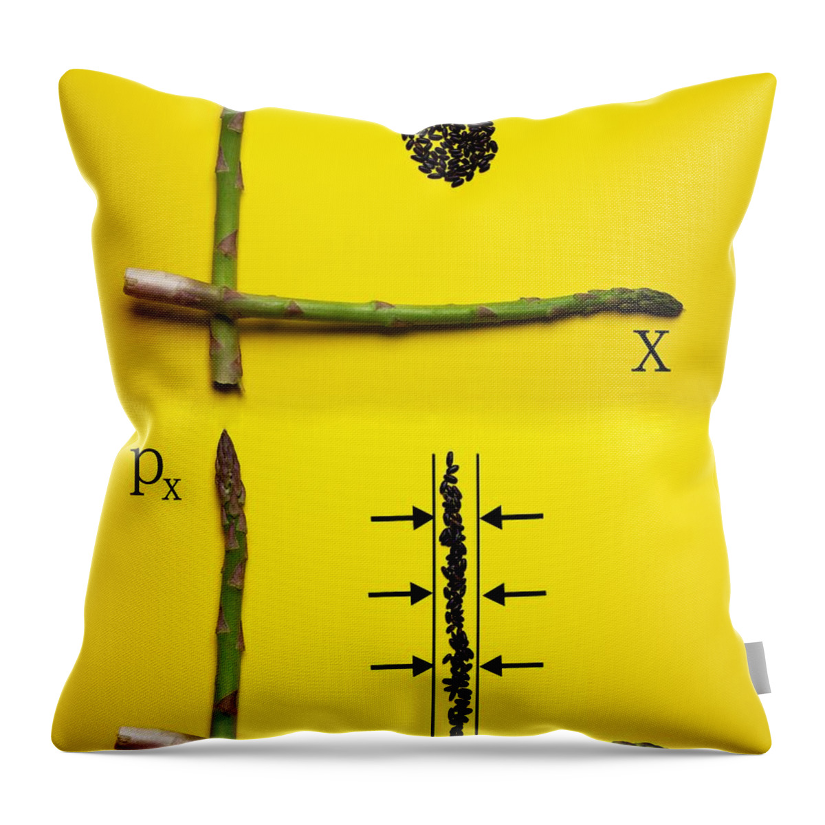 Asparagus Throw Pillow featuring the photograph Asparagus and black rice depicting Heisenberg Uncertainty food physics by Paul Ge