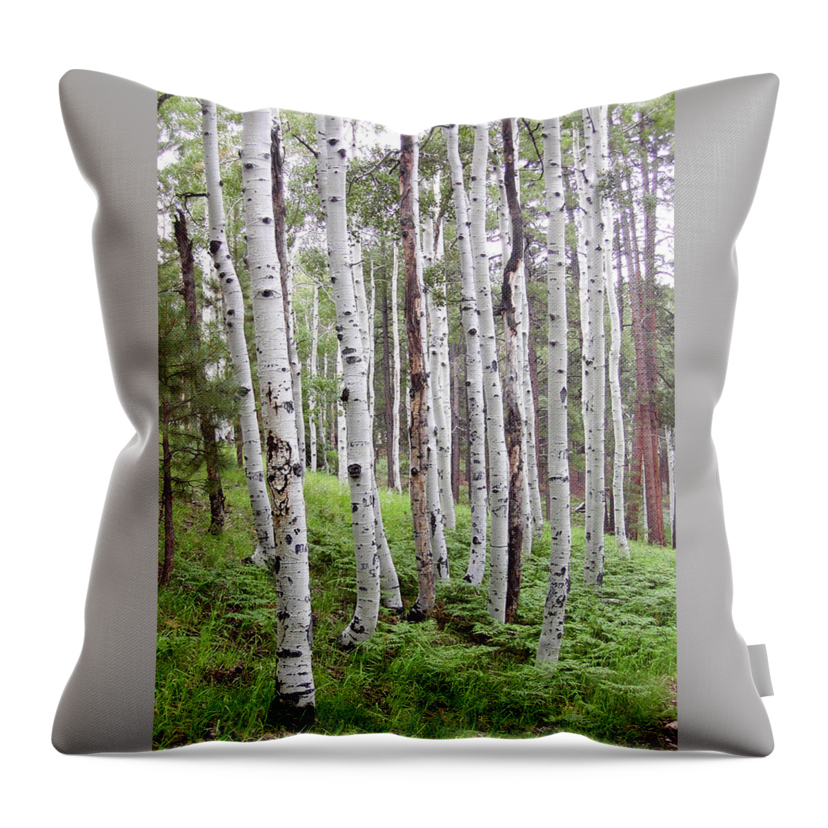 Aspens Throw Pillow featuring the photograph Aspen Forest by Laurel Powell