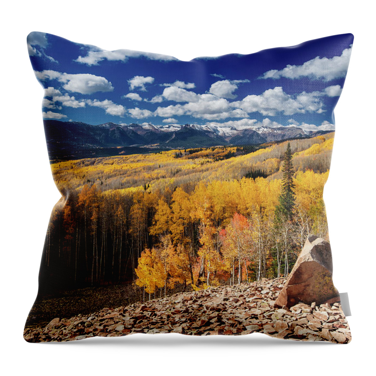 Scenics Throw Pillow featuring the photograph Aspen Forest by Piriya Photography
