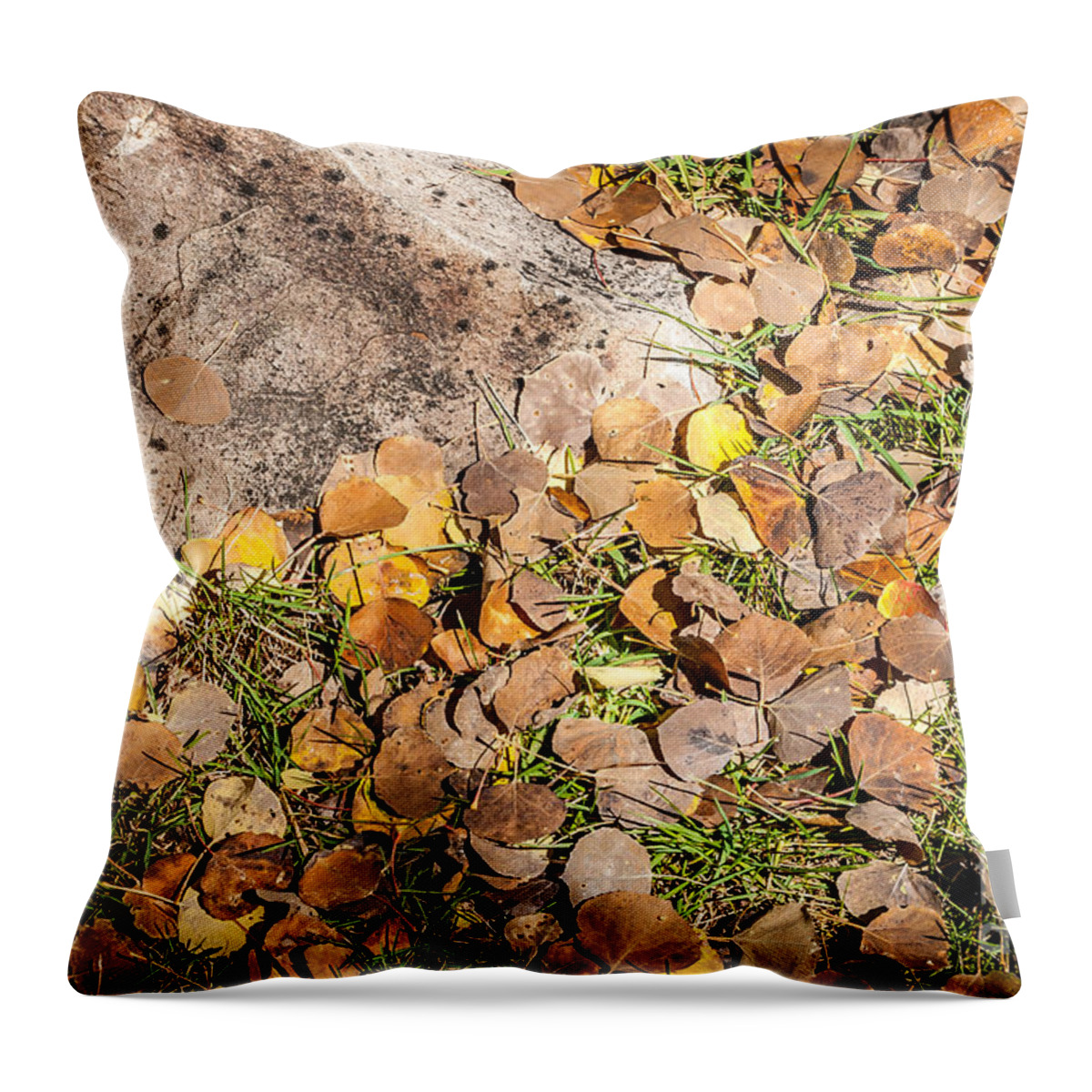 Bob And Nancy Kendrick Throw Pillow featuring the photograph Aspen Remains by Bob and Nancy Kendrick