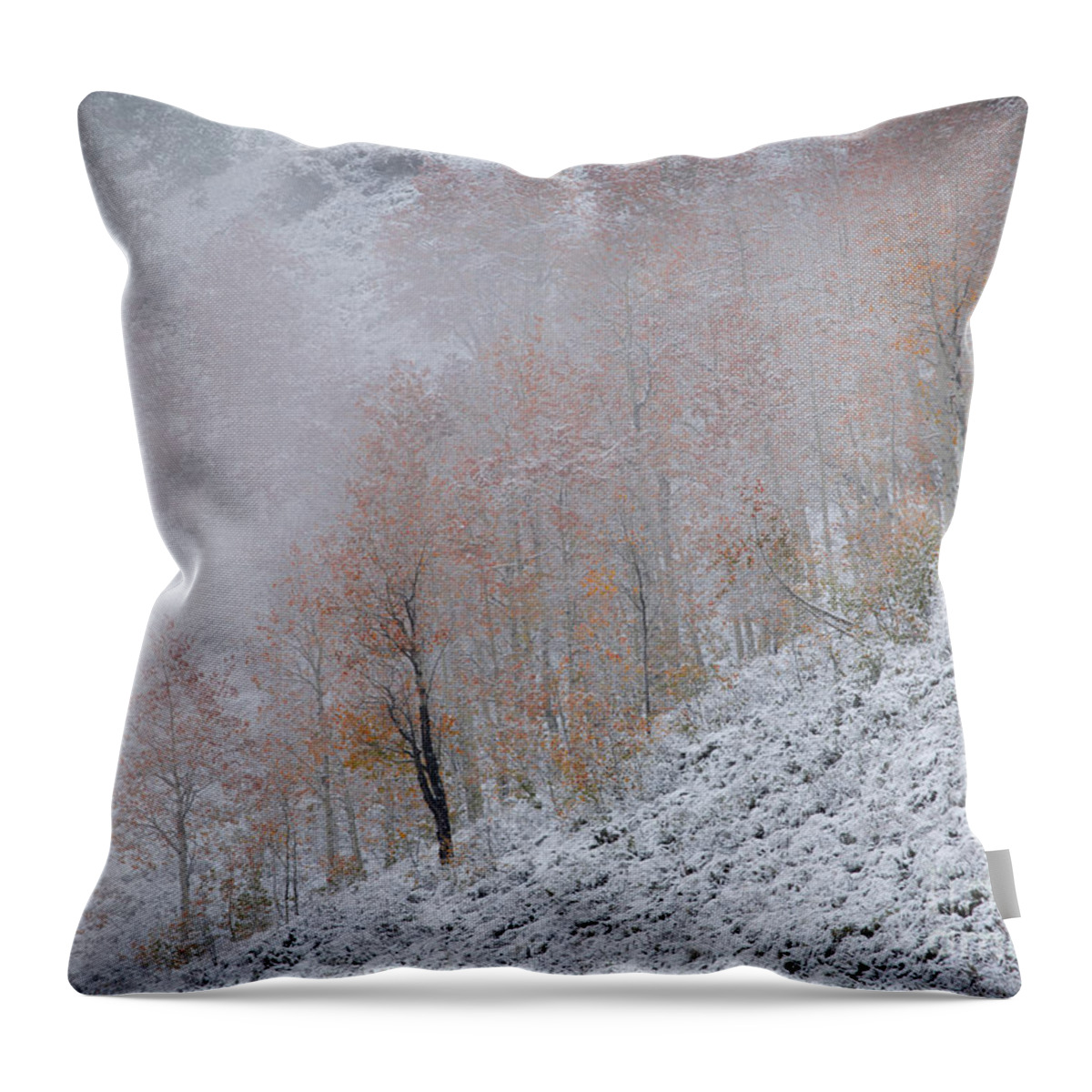 Central Colorado Throw Pillow featuring the photograph Aspen Snow by Idaho Scenic Images Linda Lantzy