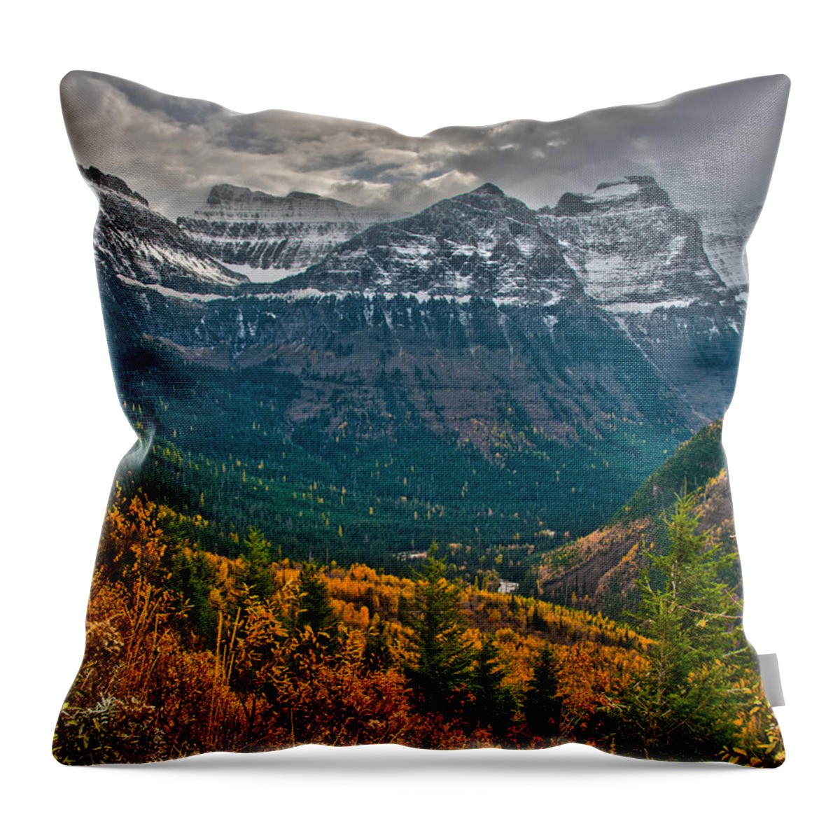 Brenda Jacobs Photography Throw Pillow featuring the photograph Aspens in Glacier by Brenda Jacobs