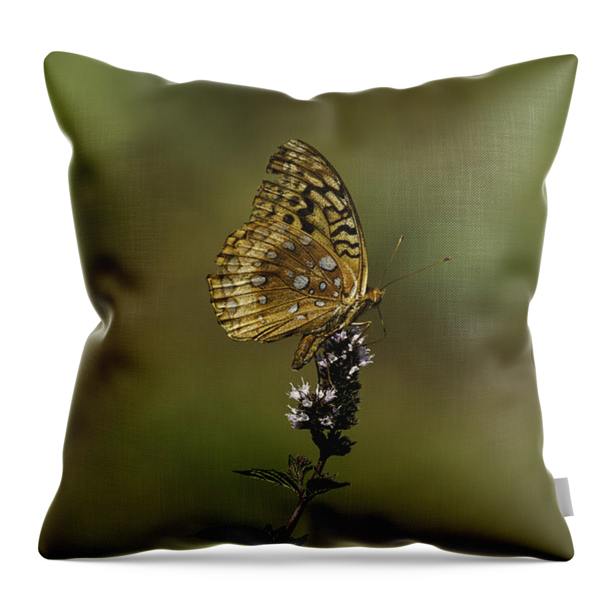 Great Spangled Fritillary Throw Pillow featuring the photograph At Home by Thomas Young
