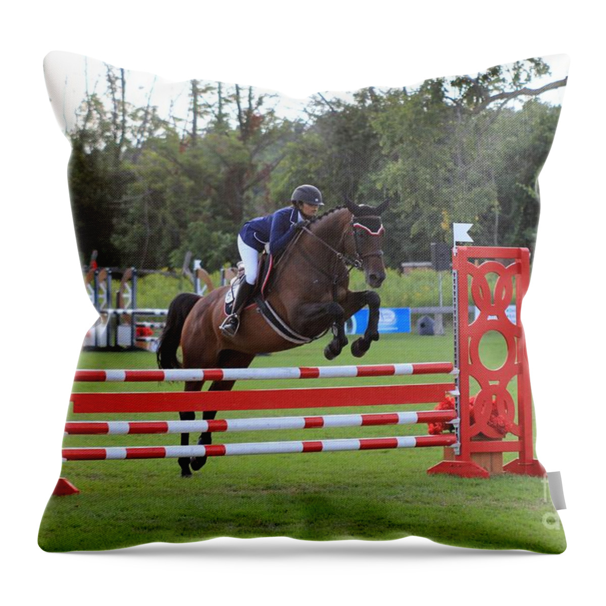 Horse Throw Pillow featuring the photograph At-su-jumper84 by Janice Byer