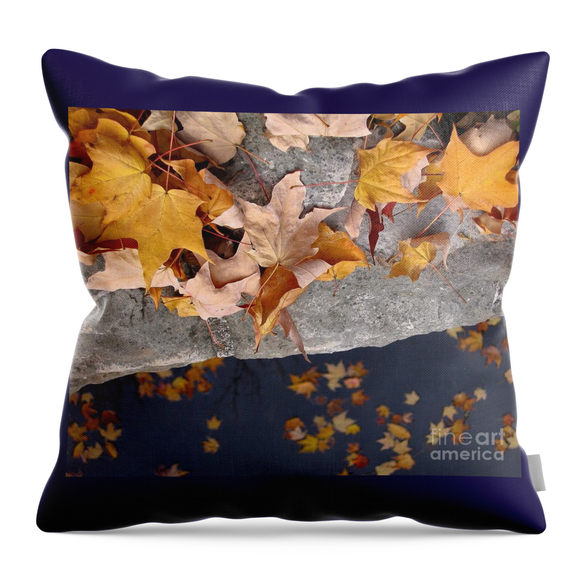 Leaf Throw Pillow featuring the photograph At Water's Edge by Ann Horn