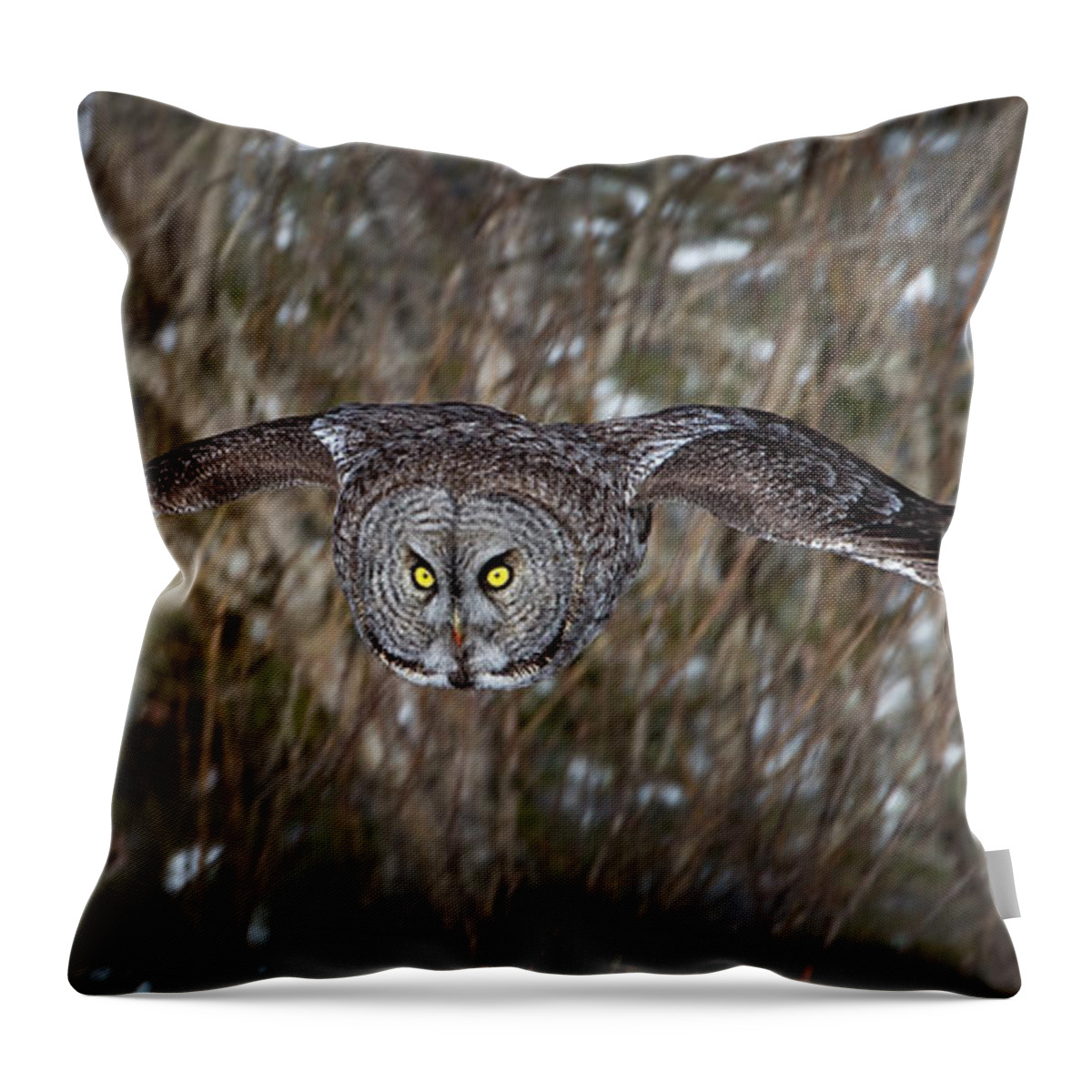 Owl Throw Pillow featuring the photograph Attack mode by Don Anderson