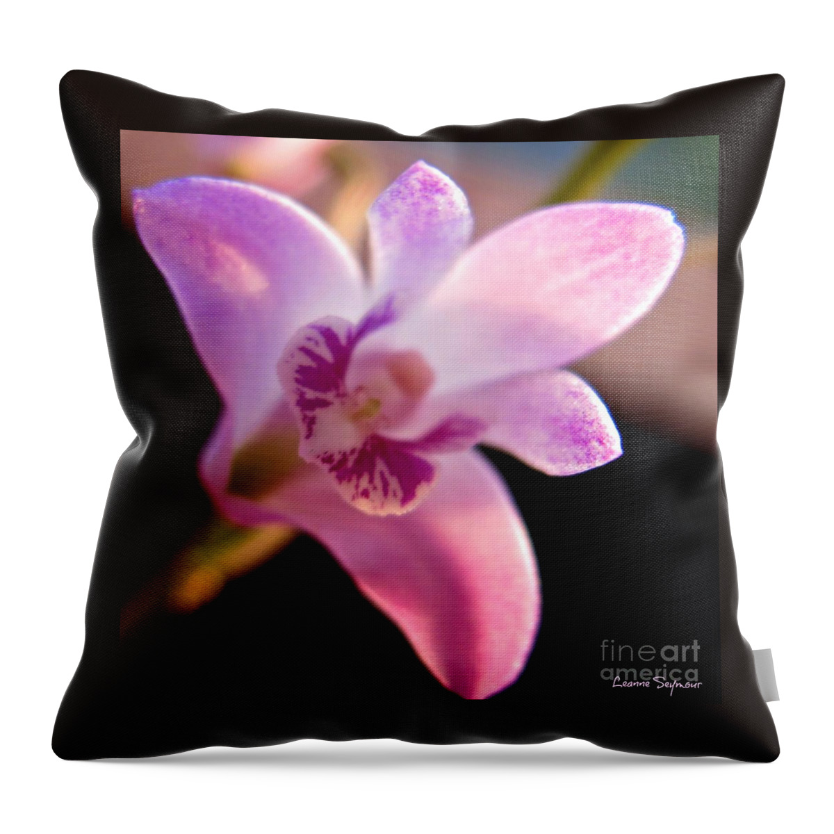 Bush Throw Pillow featuring the photograph Australian Bush Orchid by Leanne Seymour