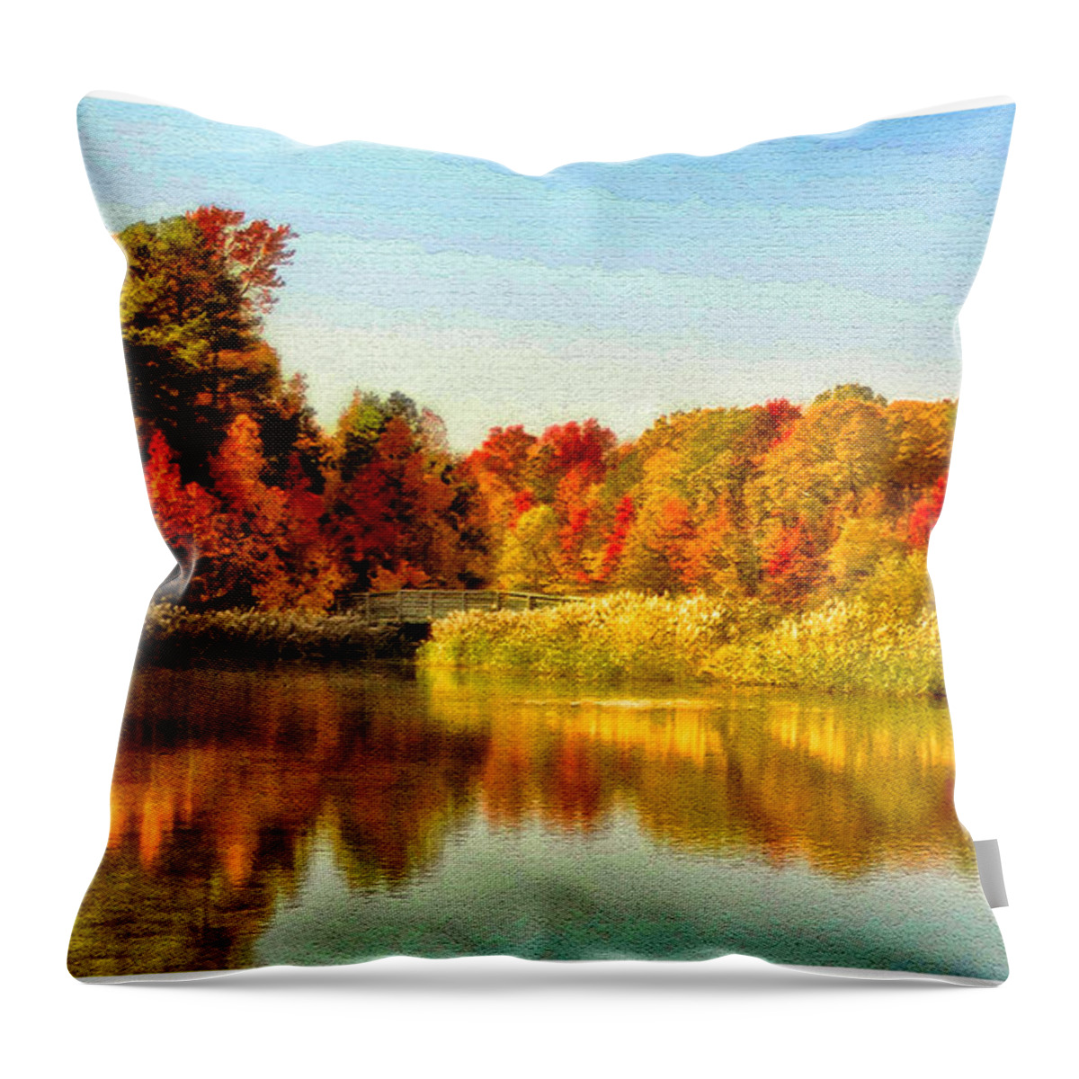 Autumnal Throw Pillow featuring the photograph Autumn Ablaze by Ola Allen