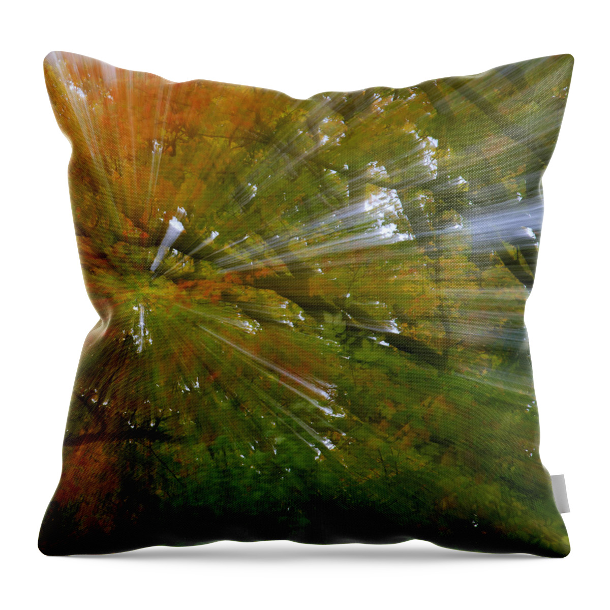 Gary Hall Throw Pillow featuring the photograph Autumn Abstract by Gary Hall