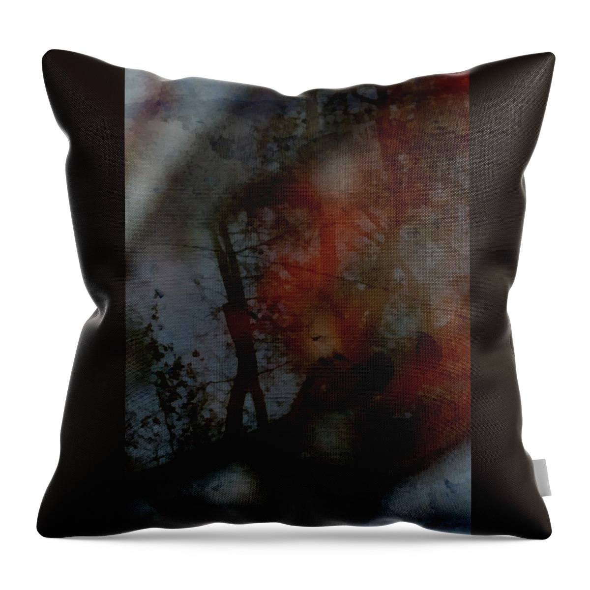Landscape Throw Pillow featuring the photograph Autumn Abstract by Photographic Arts And Design Studio