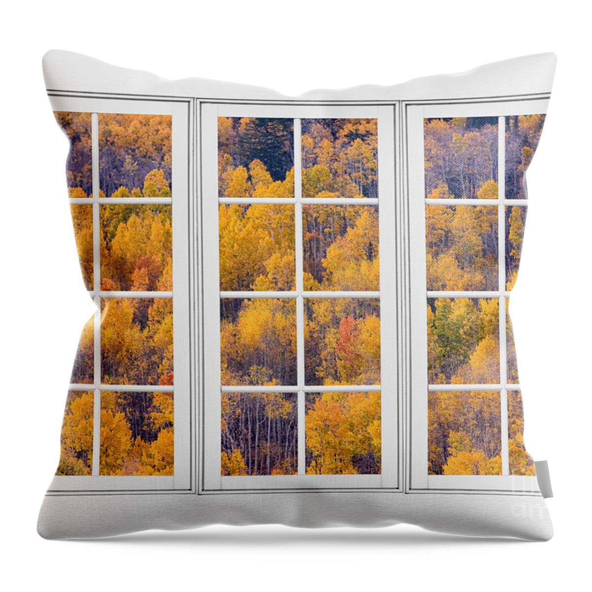 Aspen Throw Pillow featuring the photograph Autumn Aspen Trees White Picture Window View by James BO Insogna