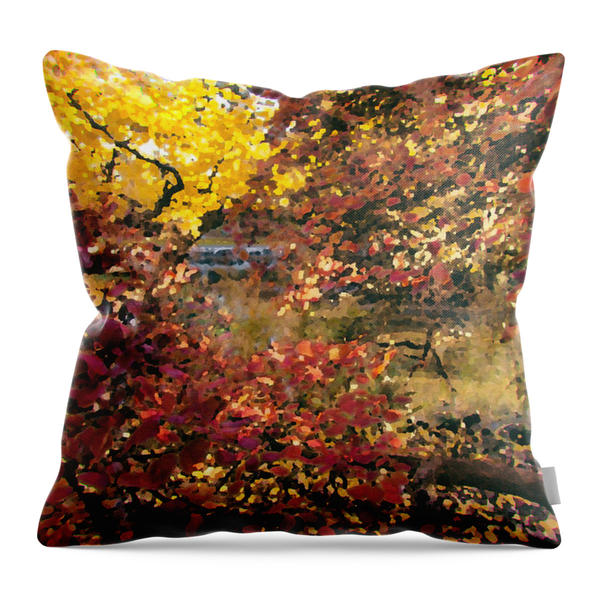 Carrie Cole Throw Pillow featuring the photograph Autumn at the Park by Carrie Cole