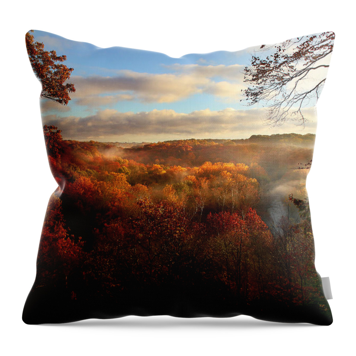 Panoramic Throw Pillow featuring the photograph Autumn at Tinker's Creek Gorge by Rob Blair