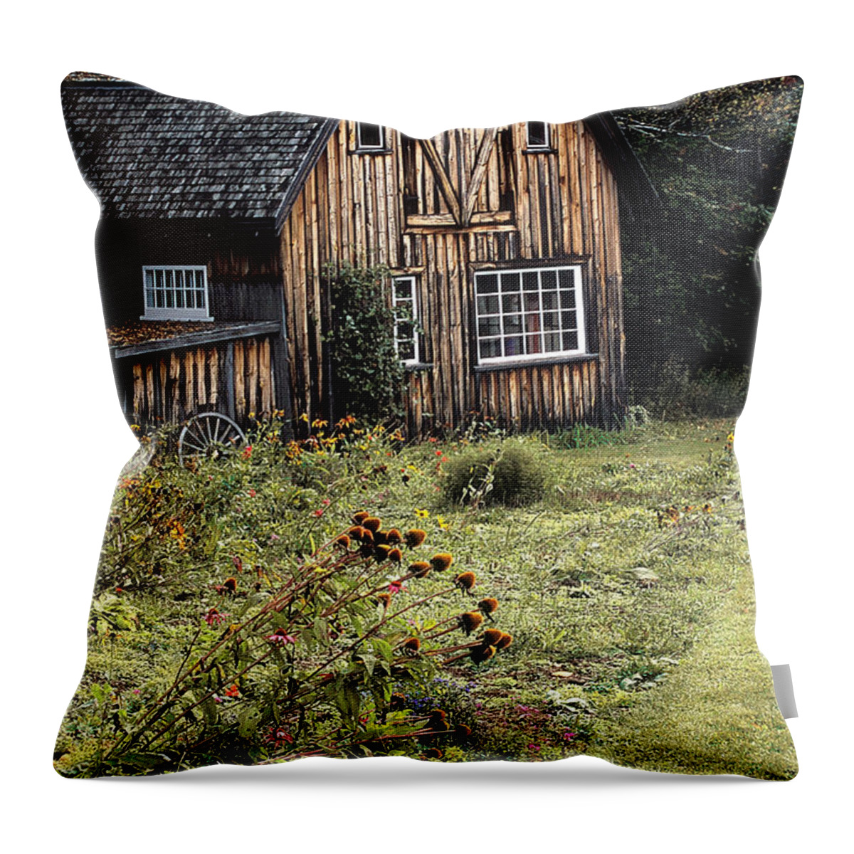 Barn Throw Pillow featuring the photograph Autumn Barn by Laura Tucker