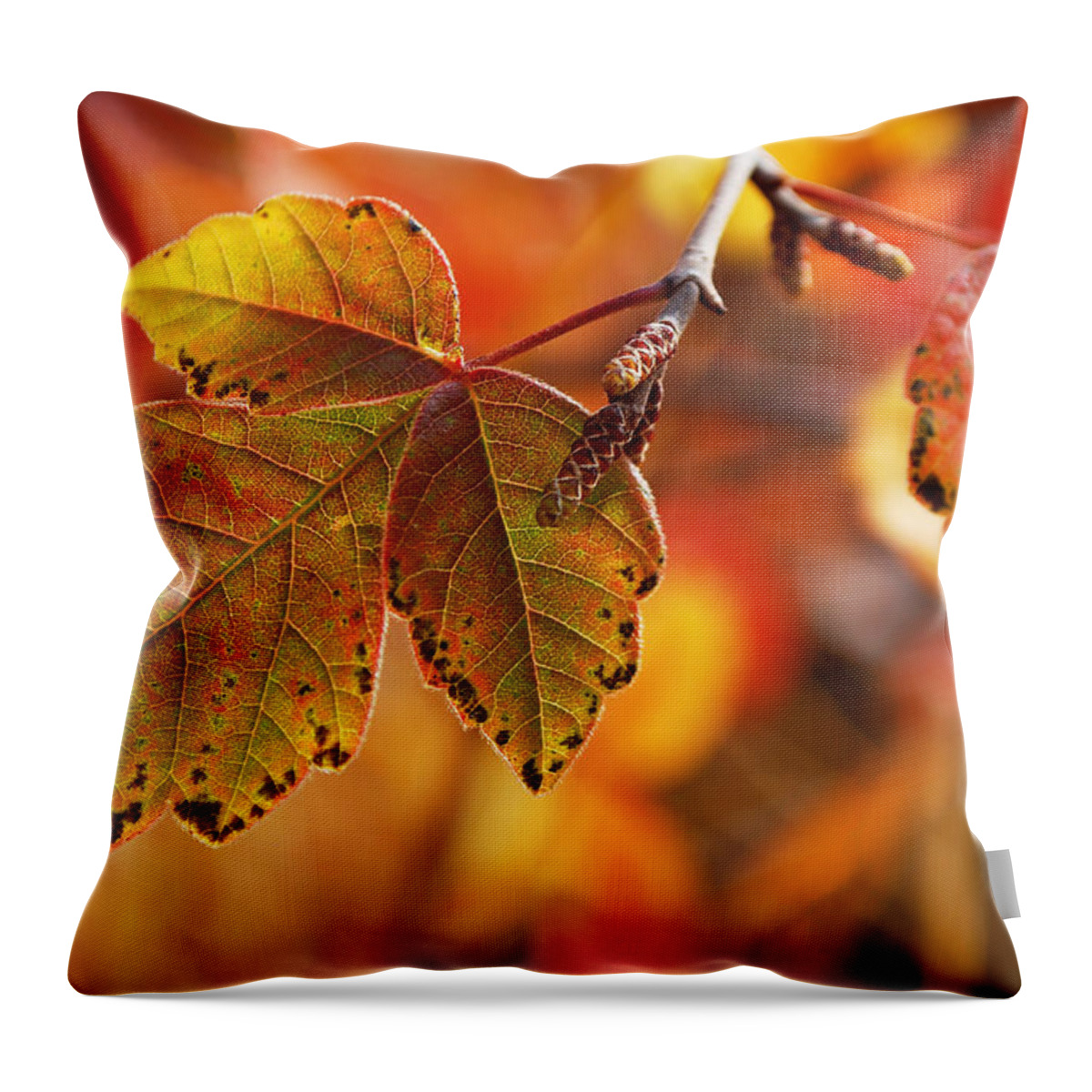 Becky Furgason Throw Pillow featuring the photograph #autumn by Becky Furgason