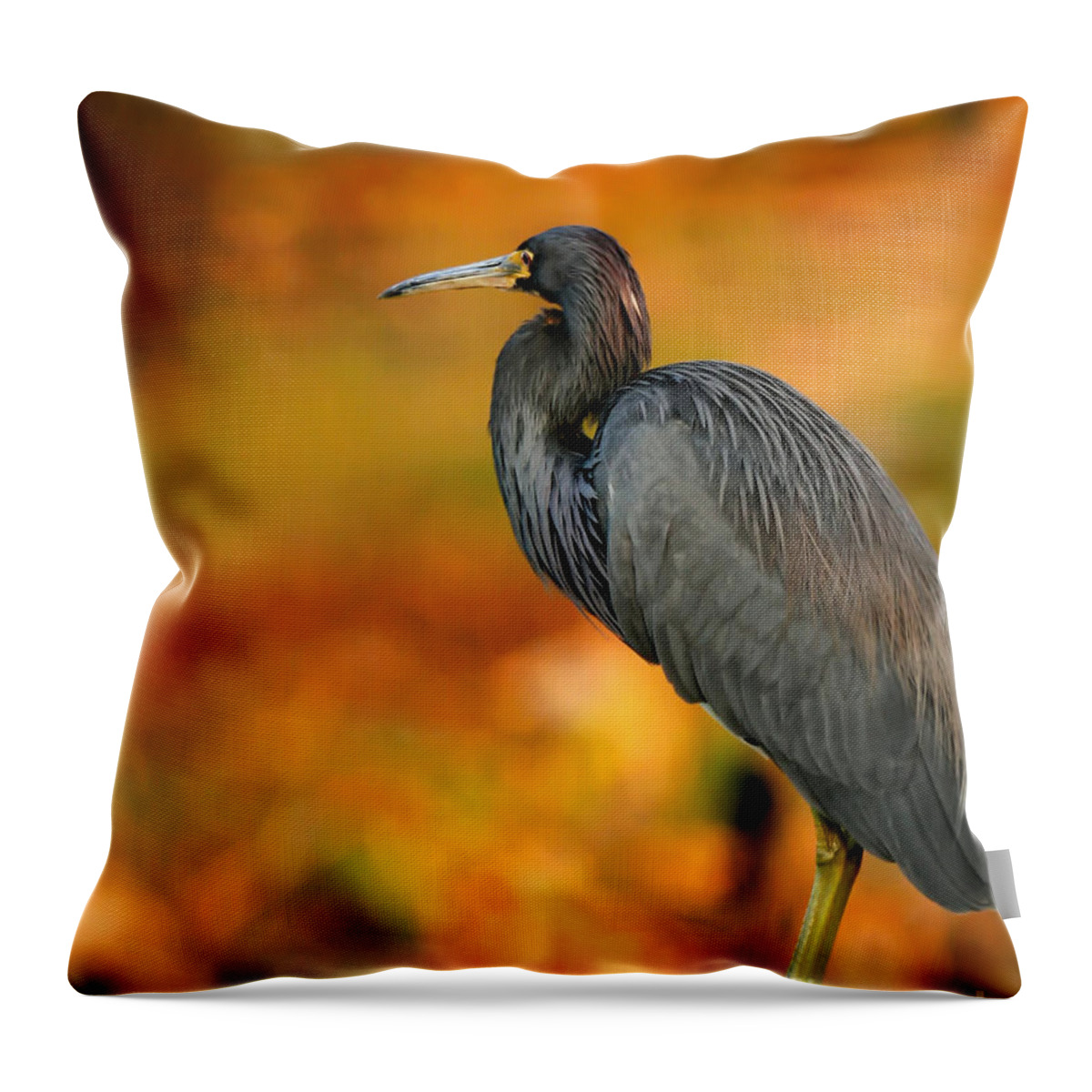 Winter Throw Pillow featuring the photograph Autumn Blue Heron by Sabrina L Ryan
