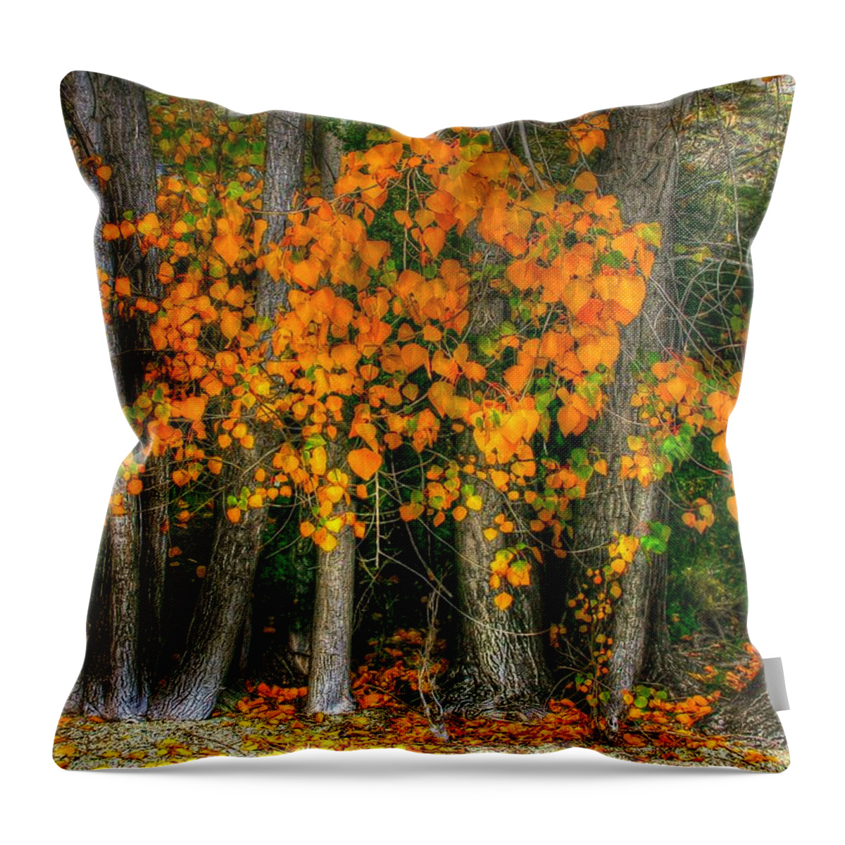 Colourful Throw Pillow featuring the photograph Autumn breakout no.2 by Jenny Setchell