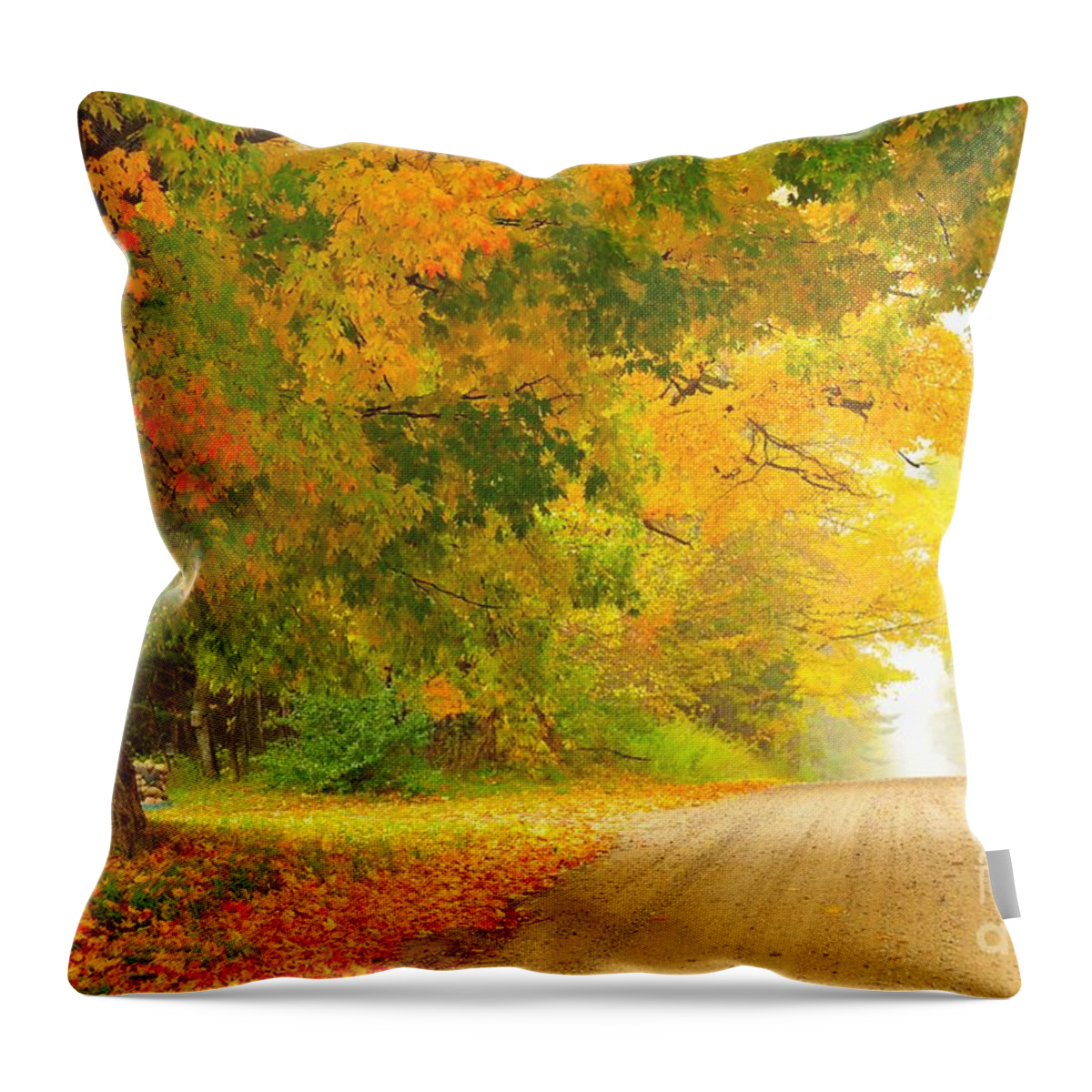 Autumn Throw Pillow featuring the photograph Autumn Cascade by Terri Gostola