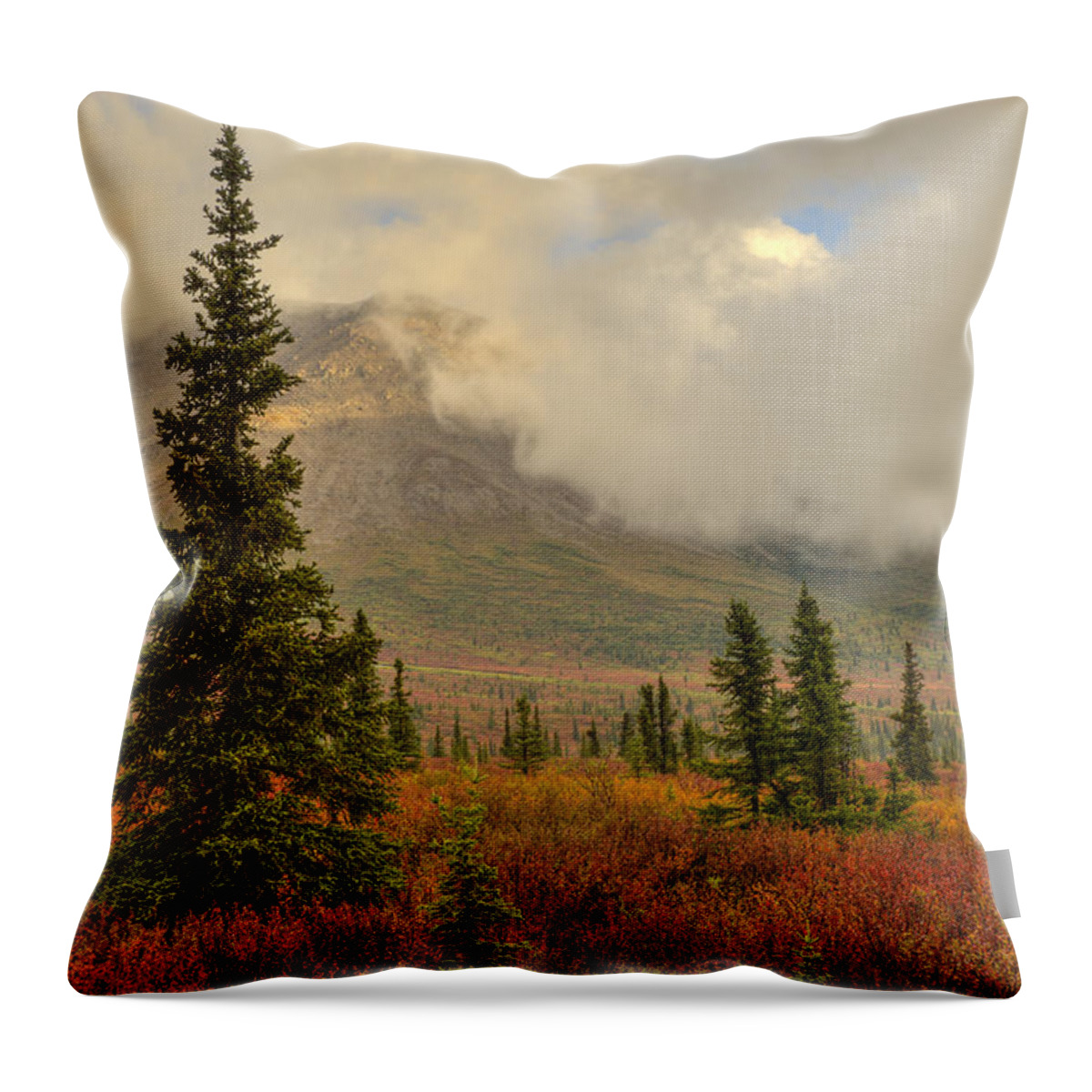 Mountains Throw Pillow featuring the photograph Autumn Color in the Alaska Range by David Drew
