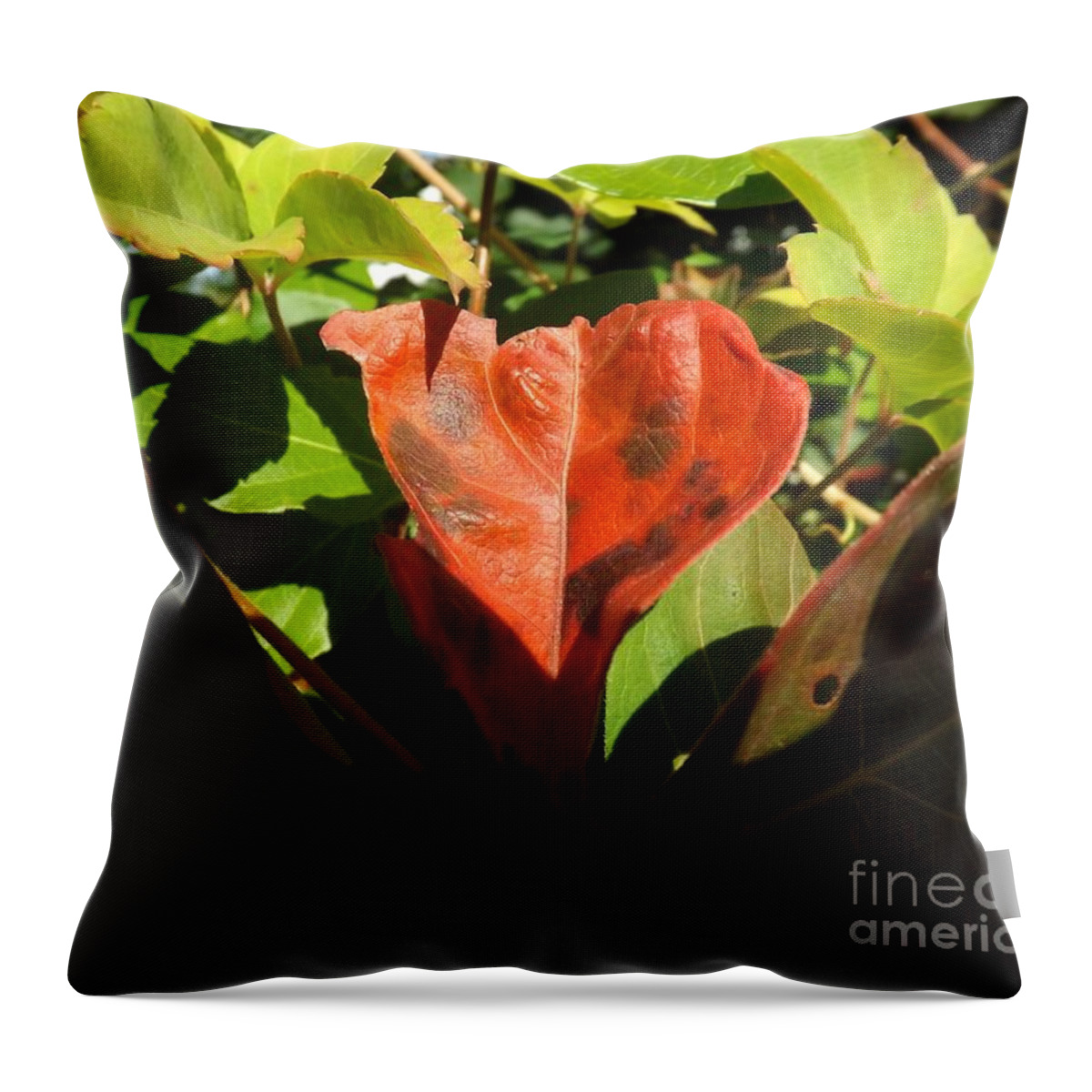 Autumn Throw Pillow featuring the photograph Autumn Colors by Robyn King