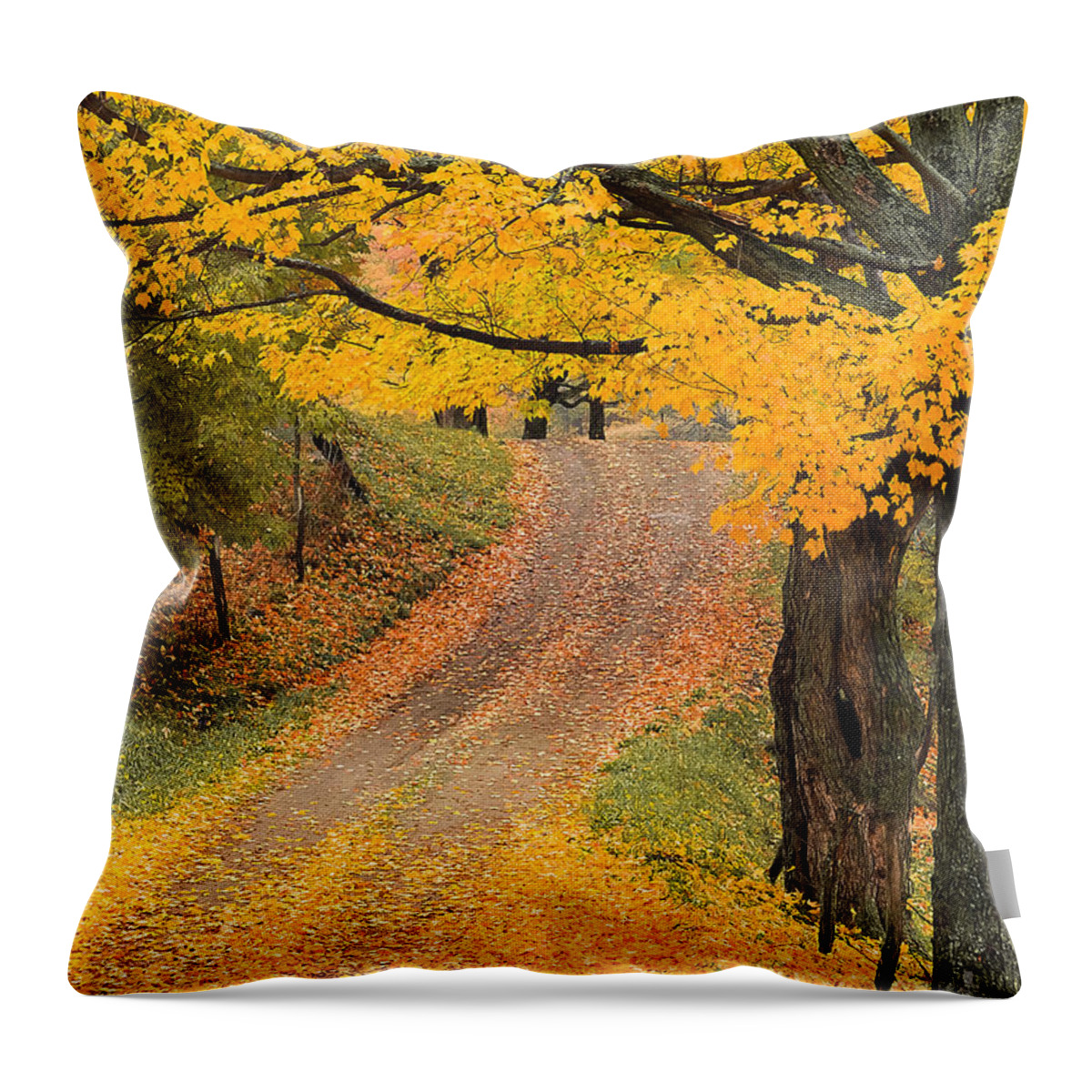 Fall Throw Pillow featuring the photograph Autumn Country Road by Alan L Graham