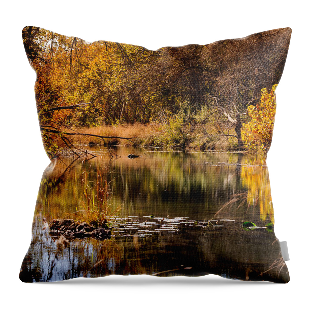 Creek Throw Pillow featuring the photograph Autumn day by John Johnson