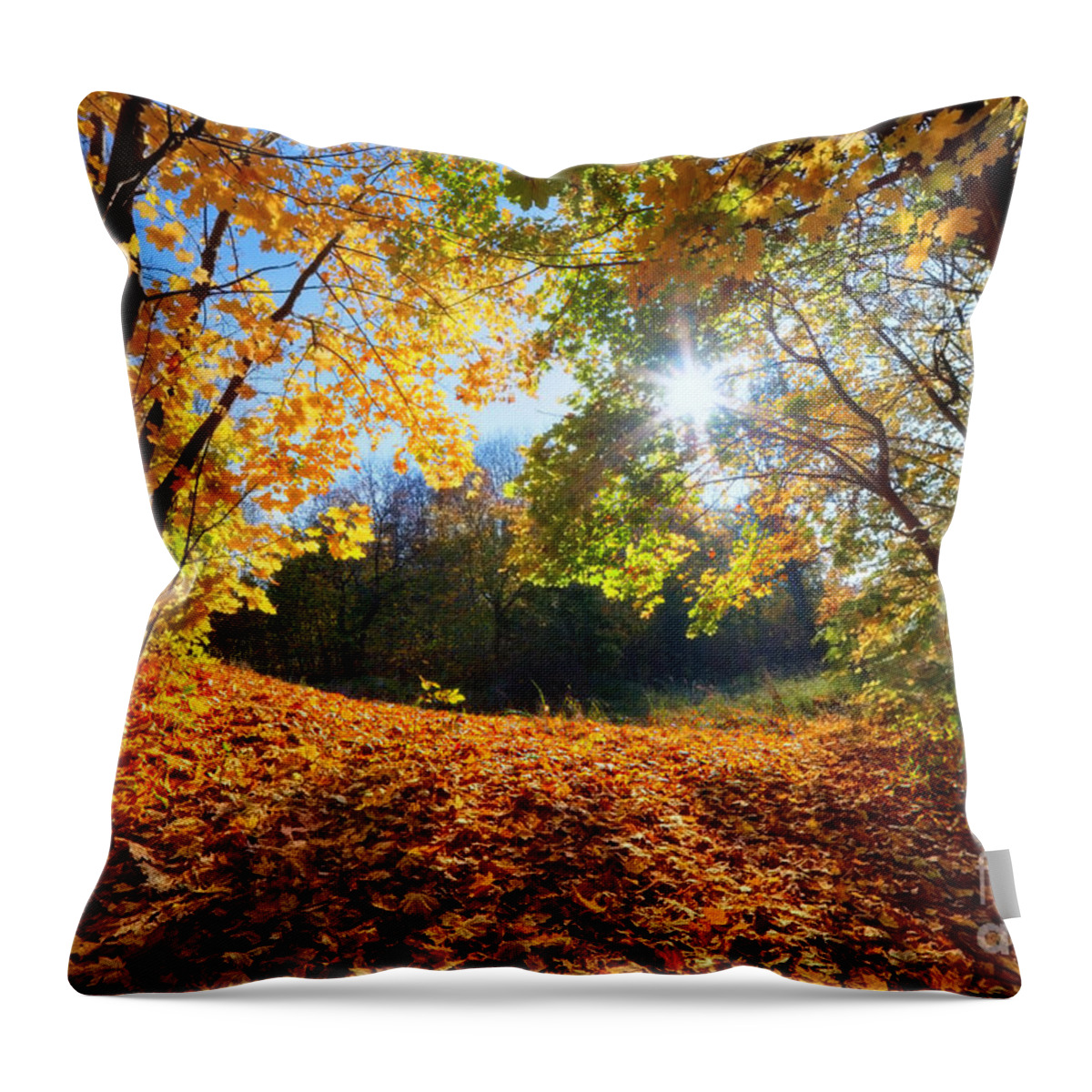 Autumn Throw Pillow featuring the photograph Autumn fall landscape in forest by Michal Bednarek