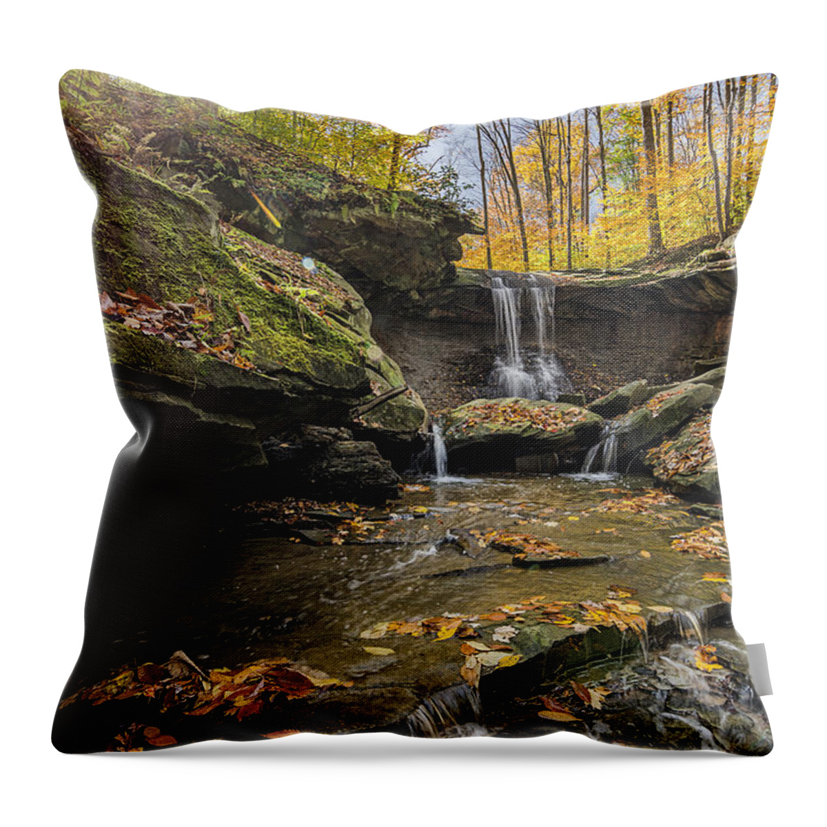 Blue Hen Falls Throw Pillow featuring the photograph Autumn Flows by James Dean