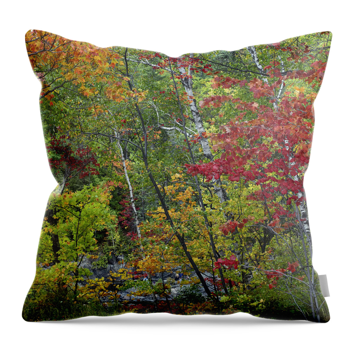 Feb0514 Throw Pillow featuring the photograph Autumn Foliage Chippewa River Ontario by Tim Fitzharris