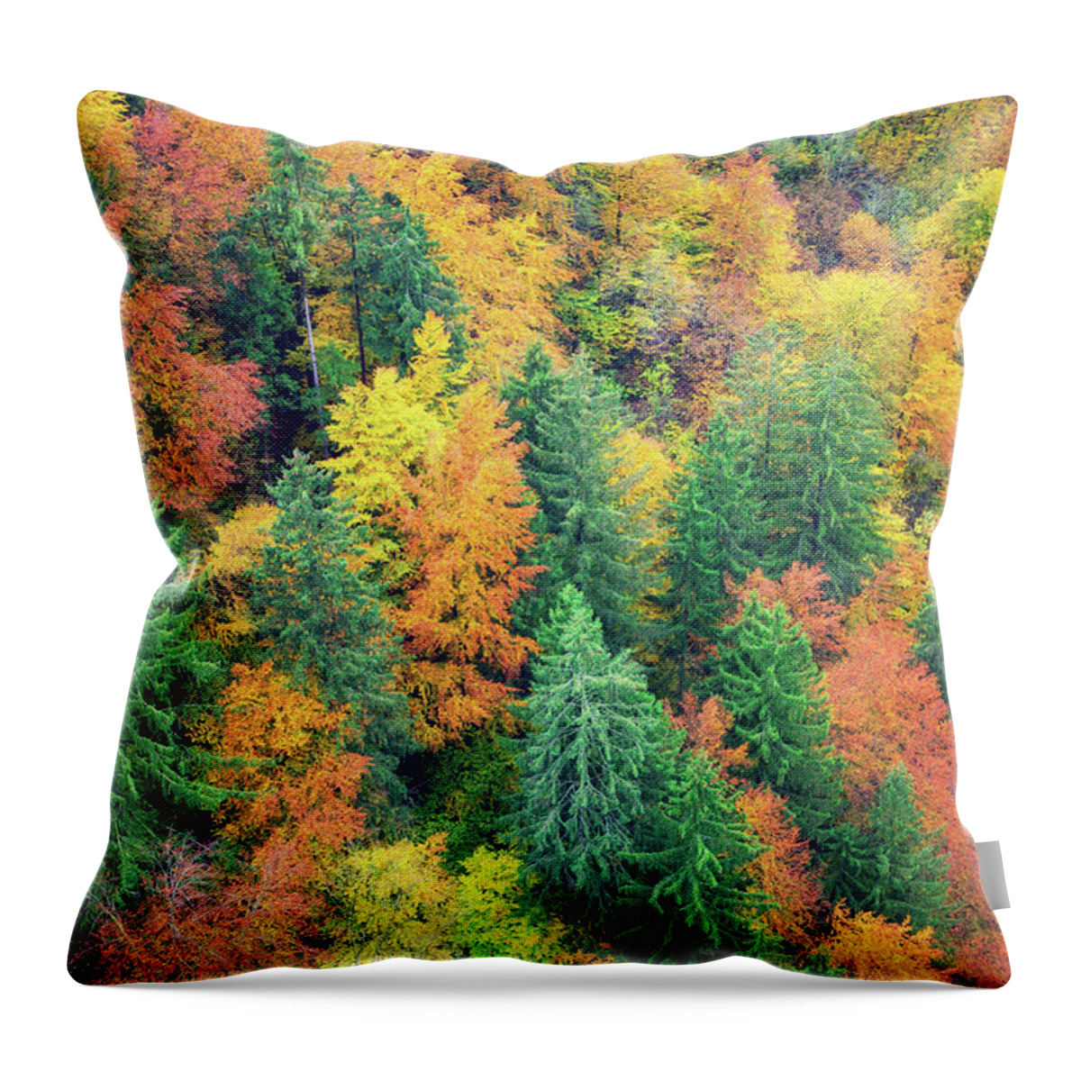 Viewpoint Throw Pillow featuring the photograph Autumn Forest by Borchee