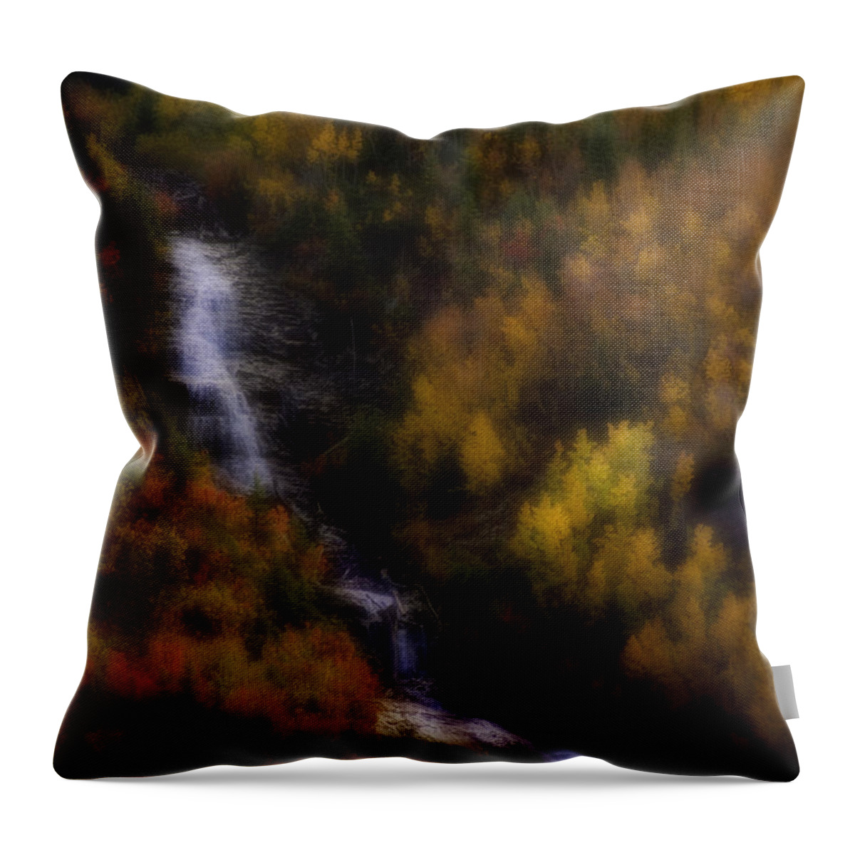 Colorado Throw Pillow featuring the photograph Autumn Forest Falls by Ellen Heaverlo
