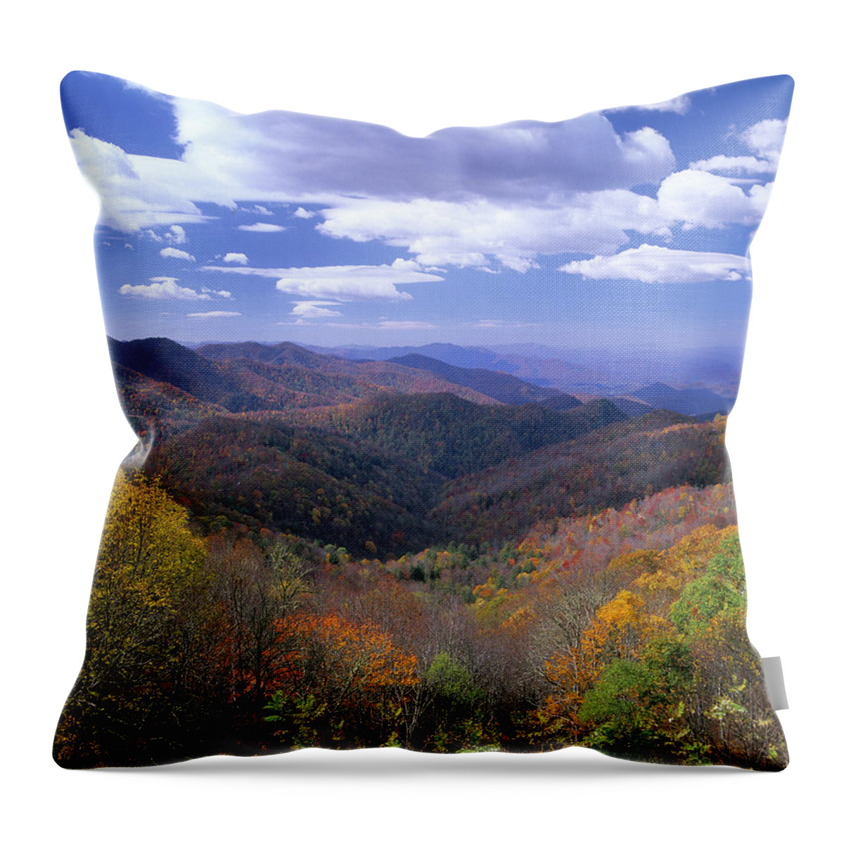 00175780 Throw Pillow featuring the photograph Autumn From Thunderstruck Ridge by Tim Fitzharris