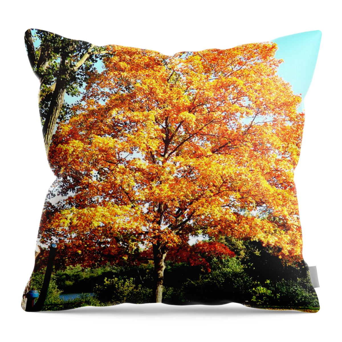 Autumn Glory Throw Pillow featuring the photograph Autumn Glory by Darren Robinson