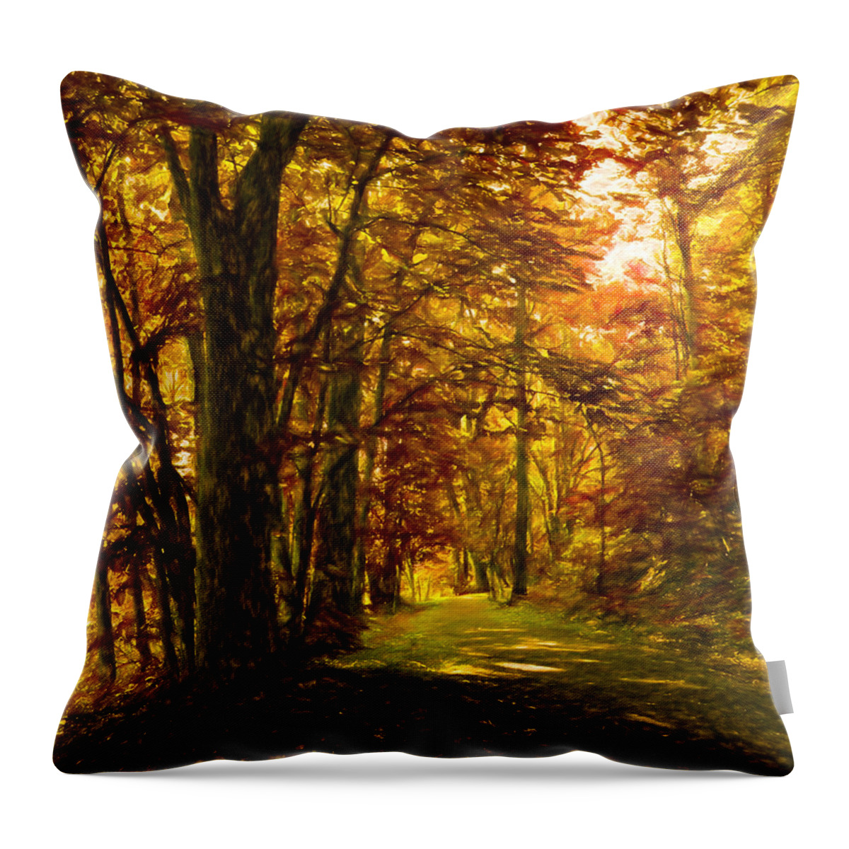 Autumn Throw Pillow featuring the photograph Autumn Glory by Denise Beverly