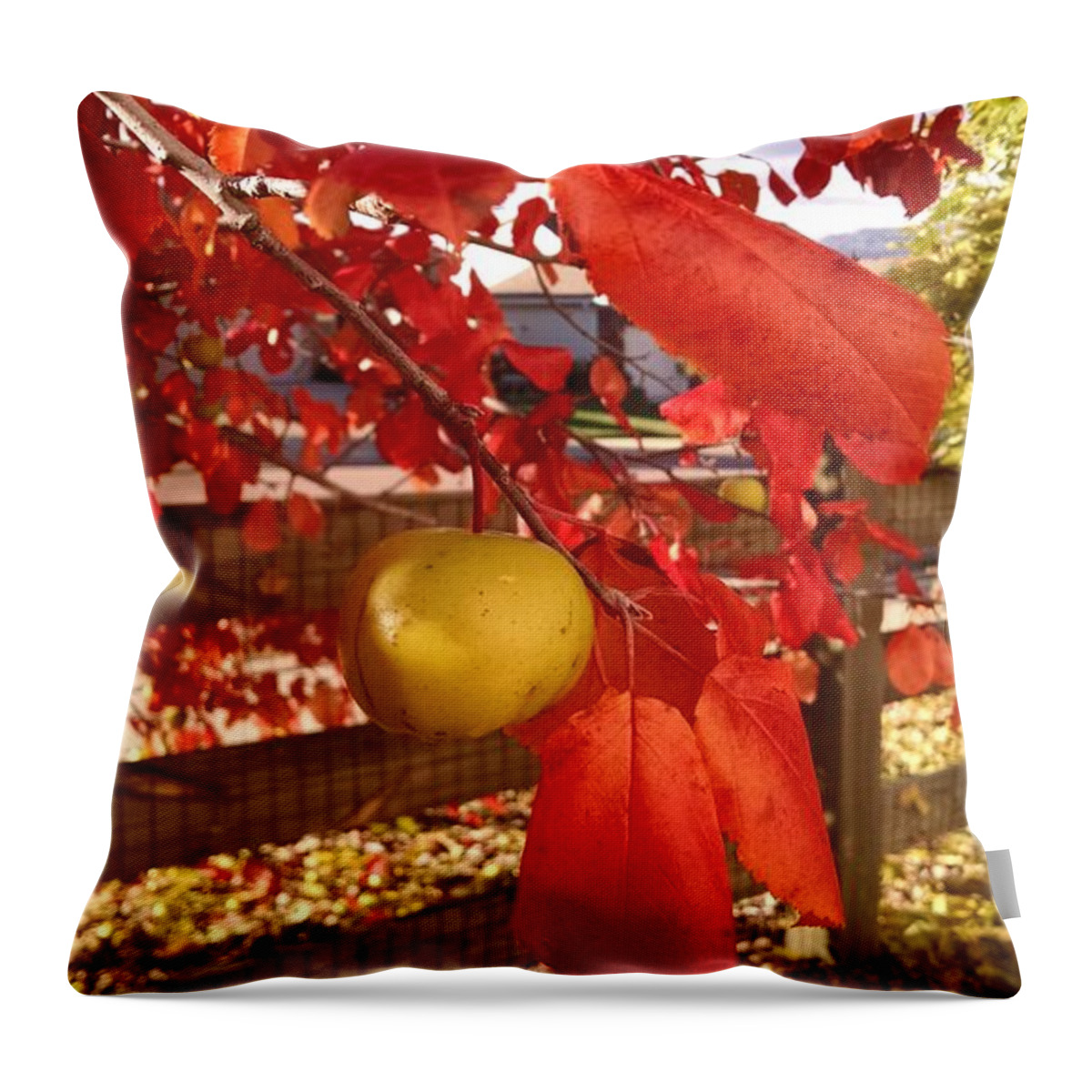 Autumn Glory Throw Pillow featuring the photograph Autumn Glory by Jennifer Forsyth
