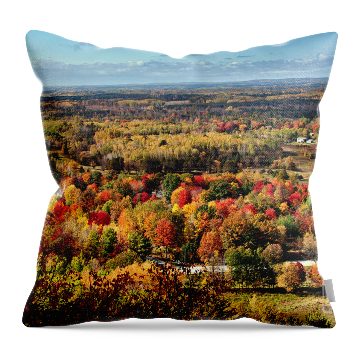 Autumn Picture Throw Pillow featuring the photograph Autumn Glory Landscape by Gwen Gibson