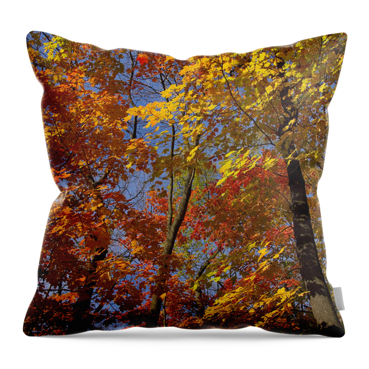 Autumn Throw Pillow featuring the photograph Autumn Glory by Larry Bohlin