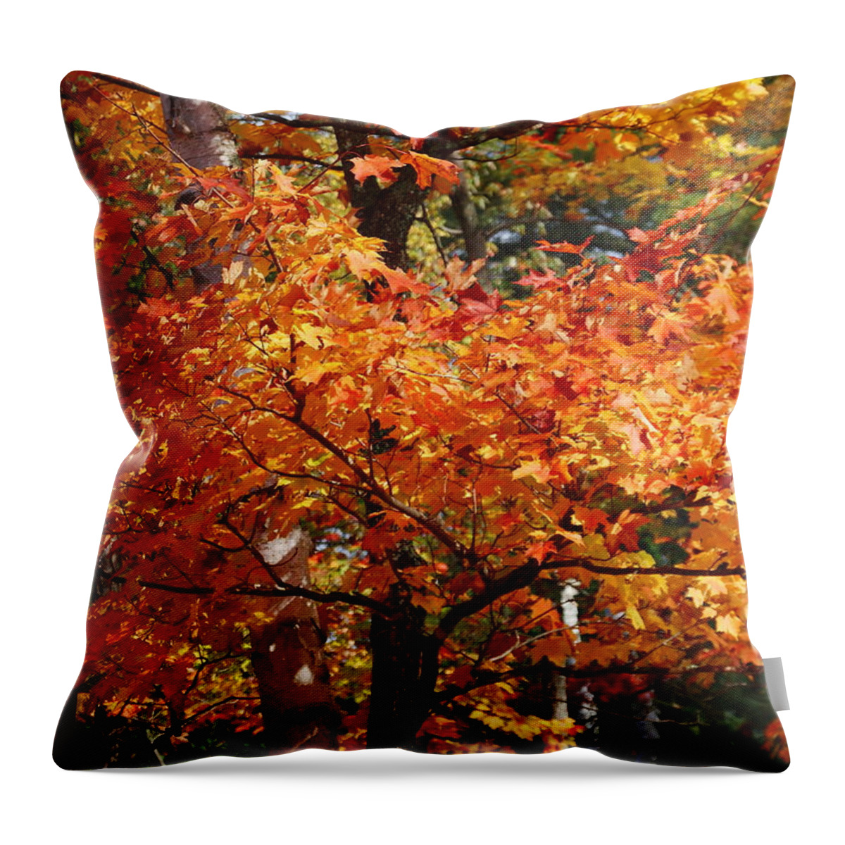 Landscape Throw Pillow featuring the digital art Autumn Gold by Pat Speirs