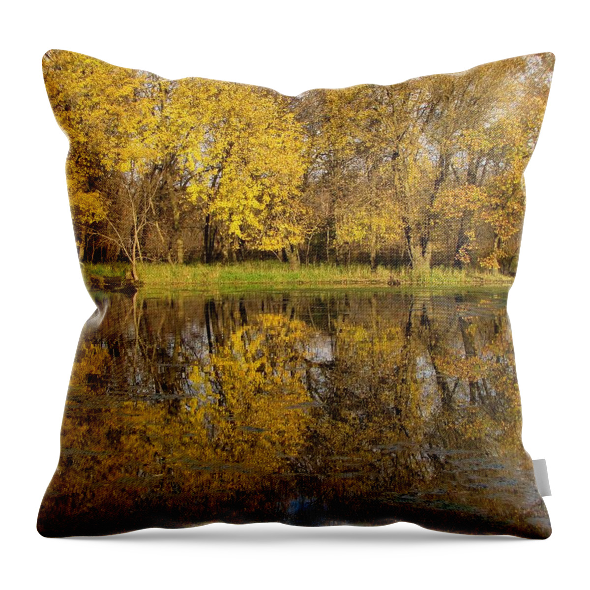 Trees Throw Pillow featuring the photograph Autumn Gold Reflections by Lori Frisch
