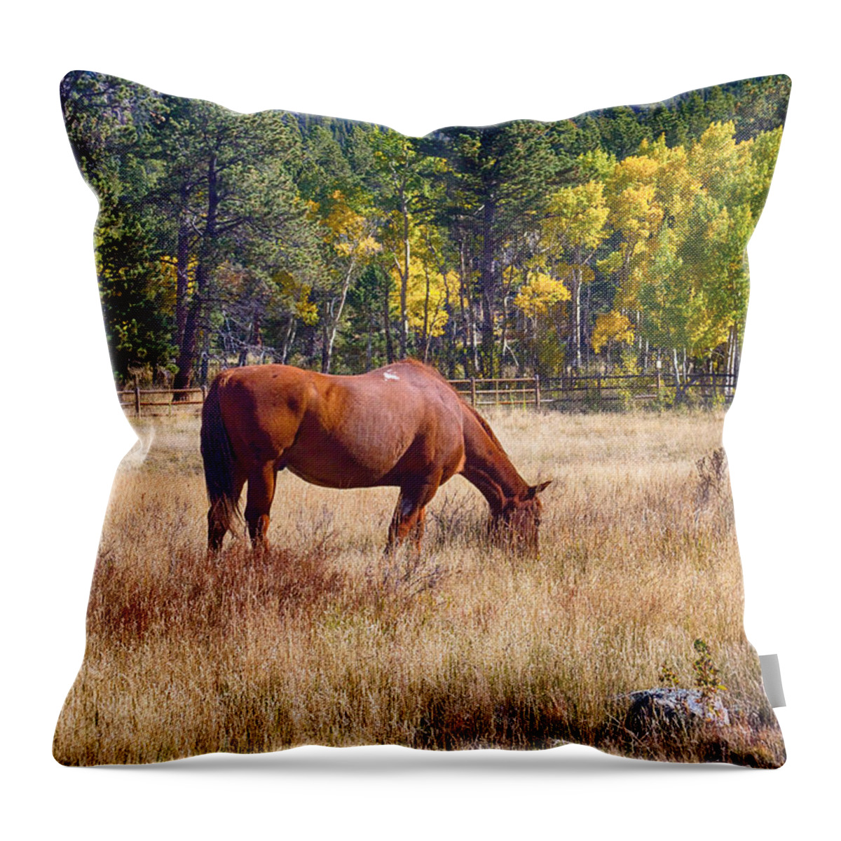 Autumn Throw Pillow featuring the photograph Autumn High Country Horse Grazing by James BO Insogna