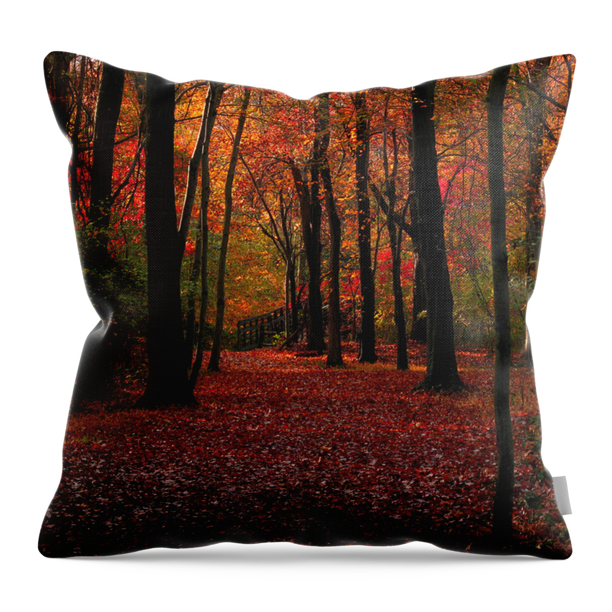 Autumn Throw Pillow featuring the photograph Autumn III by Raymond Salani III