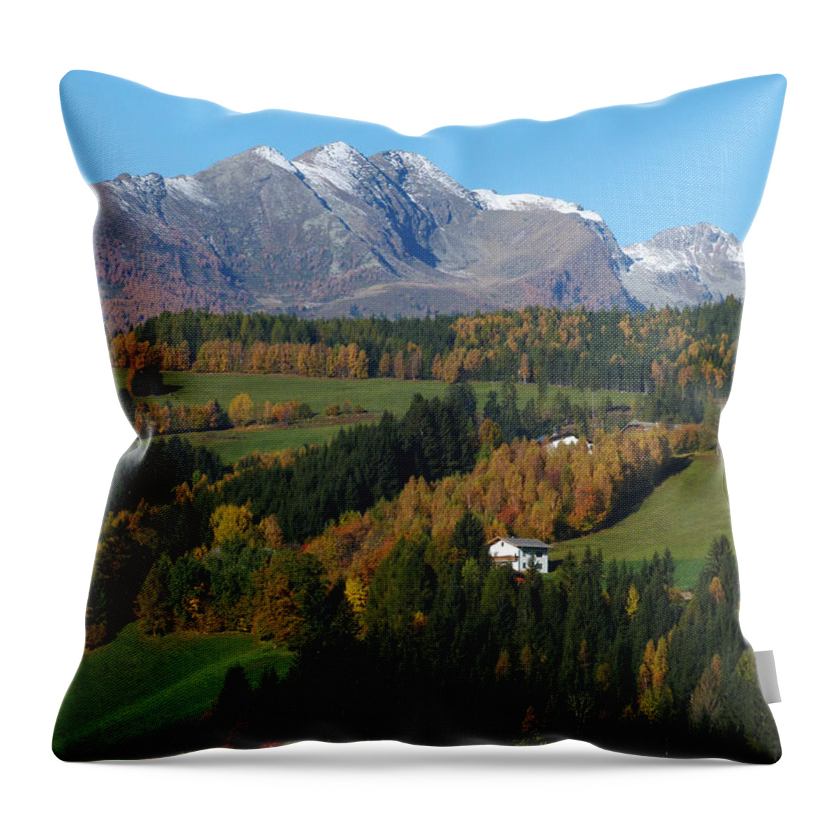 Austria Throw Pillow featuring the photograph Austrian Autumn by Phil Banks