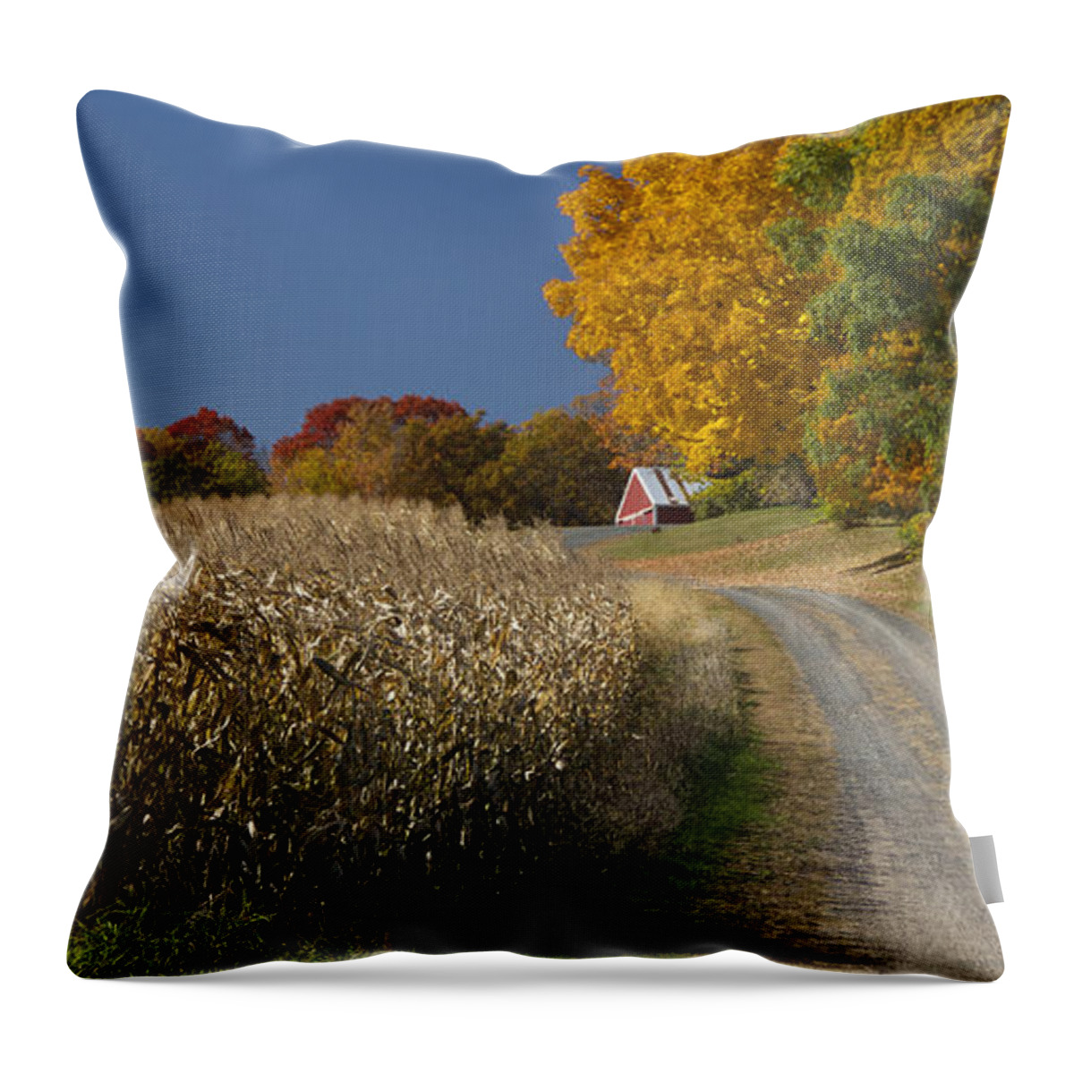 St Croix Throw Pillow featuring the photograph Autumn in Minnesota by Garry McMichael