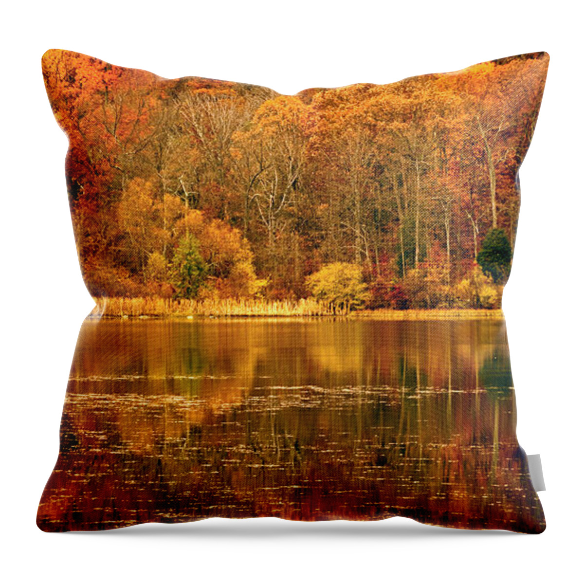 Water Throw Pillow featuring the photograph Autumn in Mirror Lake by Paul W Faust - Impressions of Light