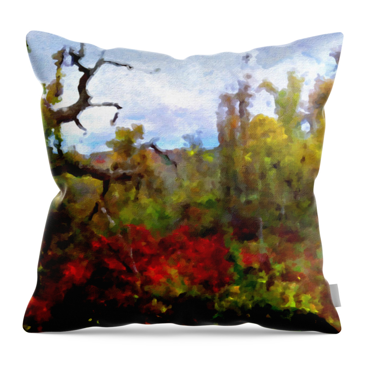 Horizon Image Throw Pillow featuring the photograph Autumn in New England by Joan Reese