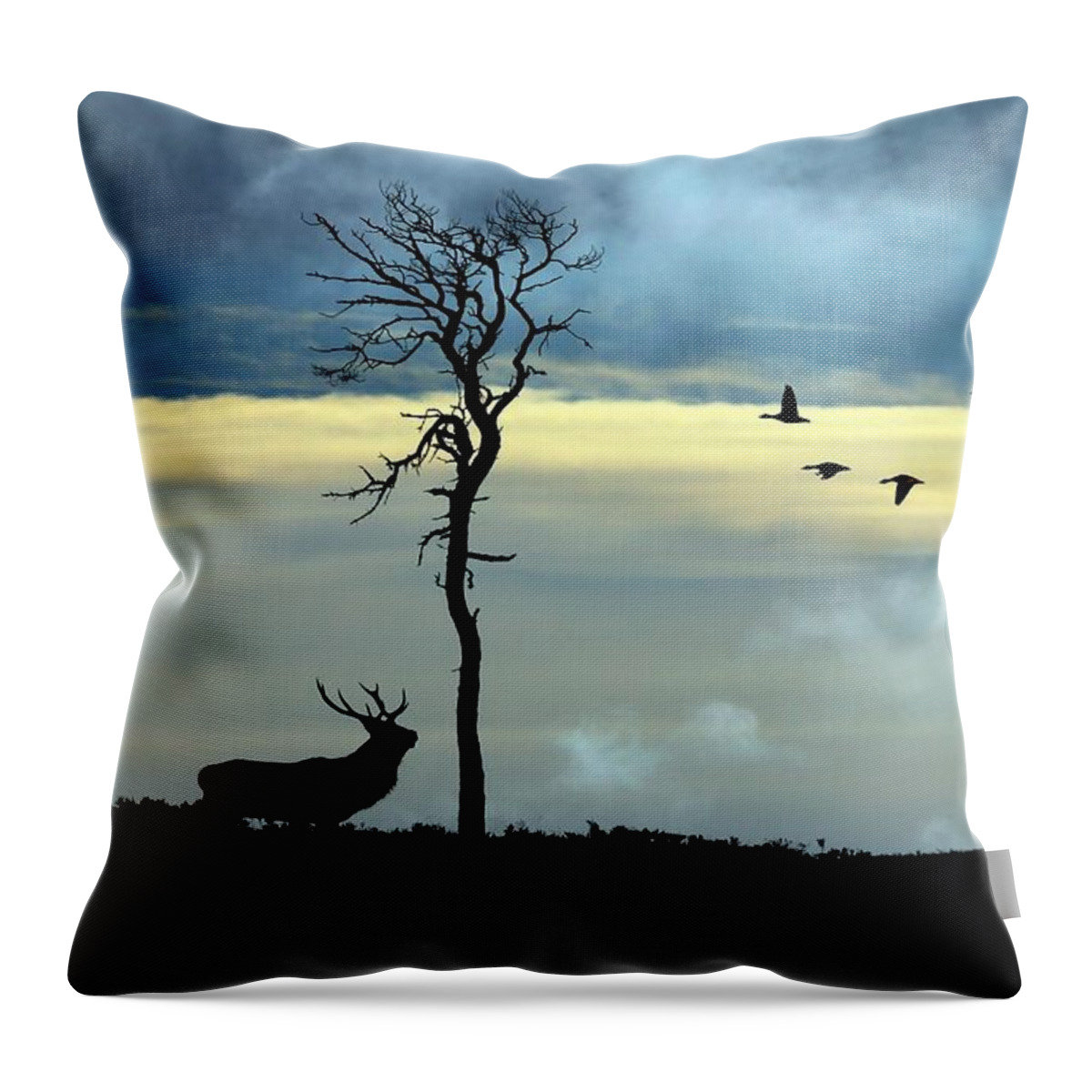 Strathglass Throw Pillow featuring the photograph Autumn in Strathglass by Macrae Images