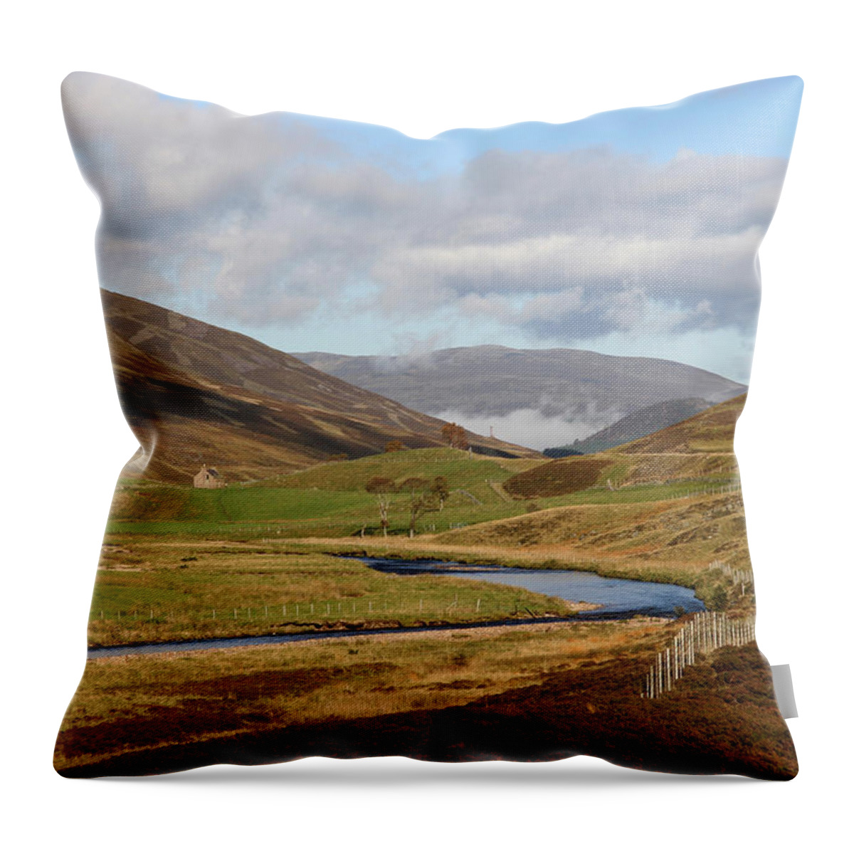 Cairngorms Throw Pillow featuring the photograph Autumn in the Cairngorms by John Topman