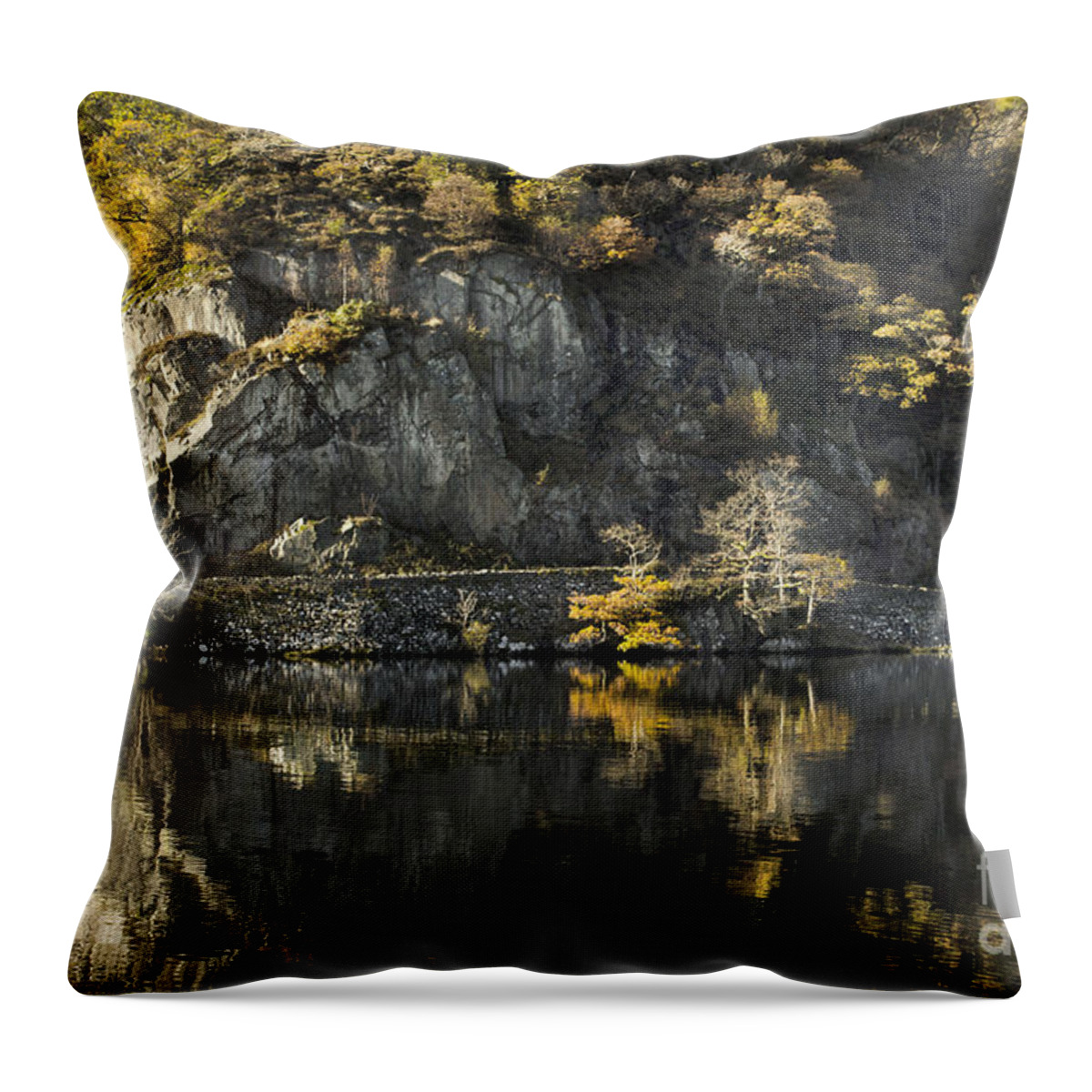 Autumn Throw Pillow featuring the photograph Autumn In The Lake by Linsey Williams
