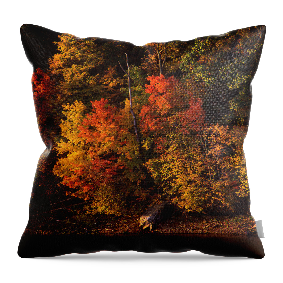Fall Foliage Throw Pillow featuring the photograph Autumn in the Ozarks by Greg Kopriva